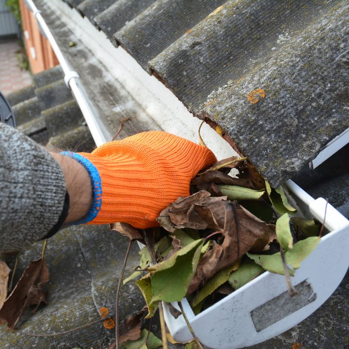 prepping before your home insurance inspection in florida